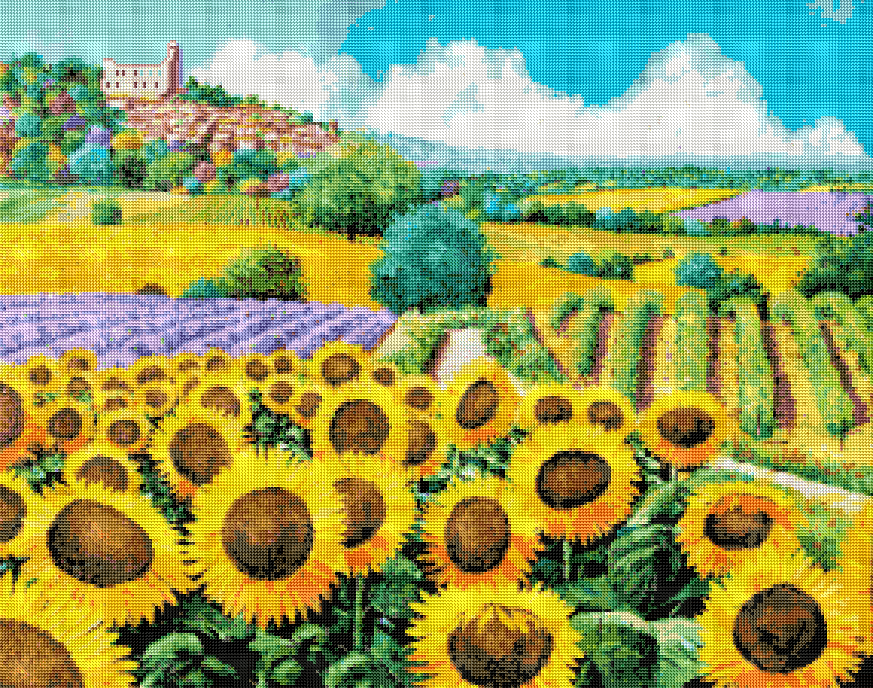 Vineyards and Sunflowers